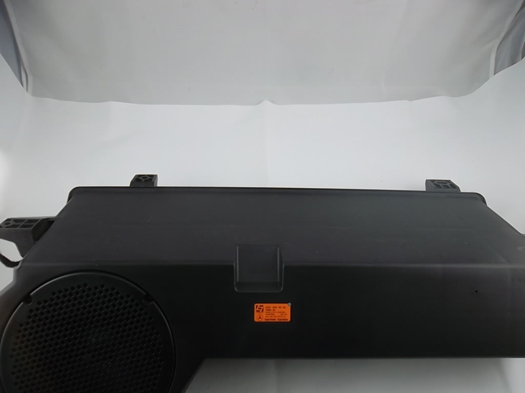 2006-2010 Mercedes Benz R350 Subwoofer 251-820-00-02