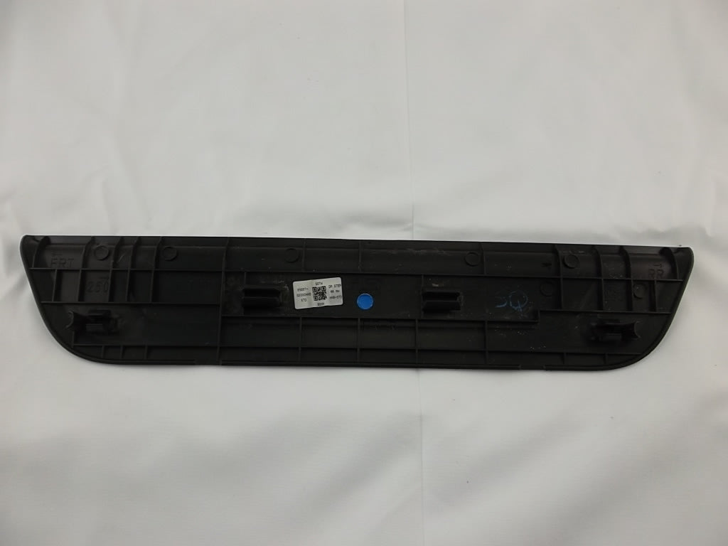2019-2023 Hyundai Santa Fe Rear Passenger Door Trim Step Sill Scuff Plate