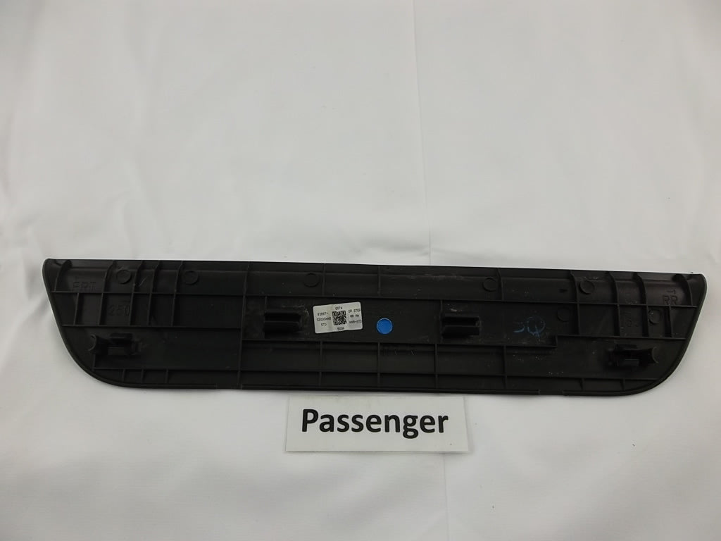 2019-2023 Hyundai Santa Fe Rear Passenger Door Trim Step Sill Scuff Plate