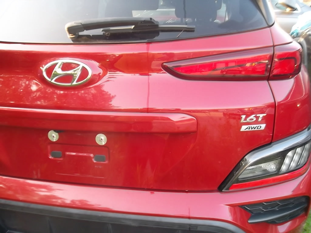2018-2023 Hyundai Kona Tailgate Liftgate Trunklid 73700-J9031