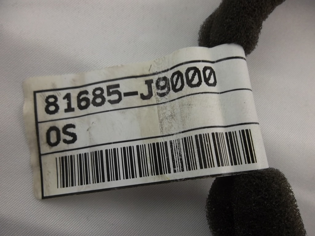 2018-2023 Hyundai Kona Sunroof Wire Wiring Harness 81685-J9000