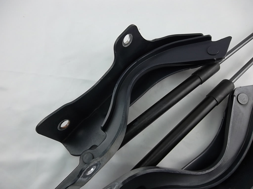 2013-2019 Hyundai Santa Fe Hood Hinge W/Shock Set 79120-4Z000