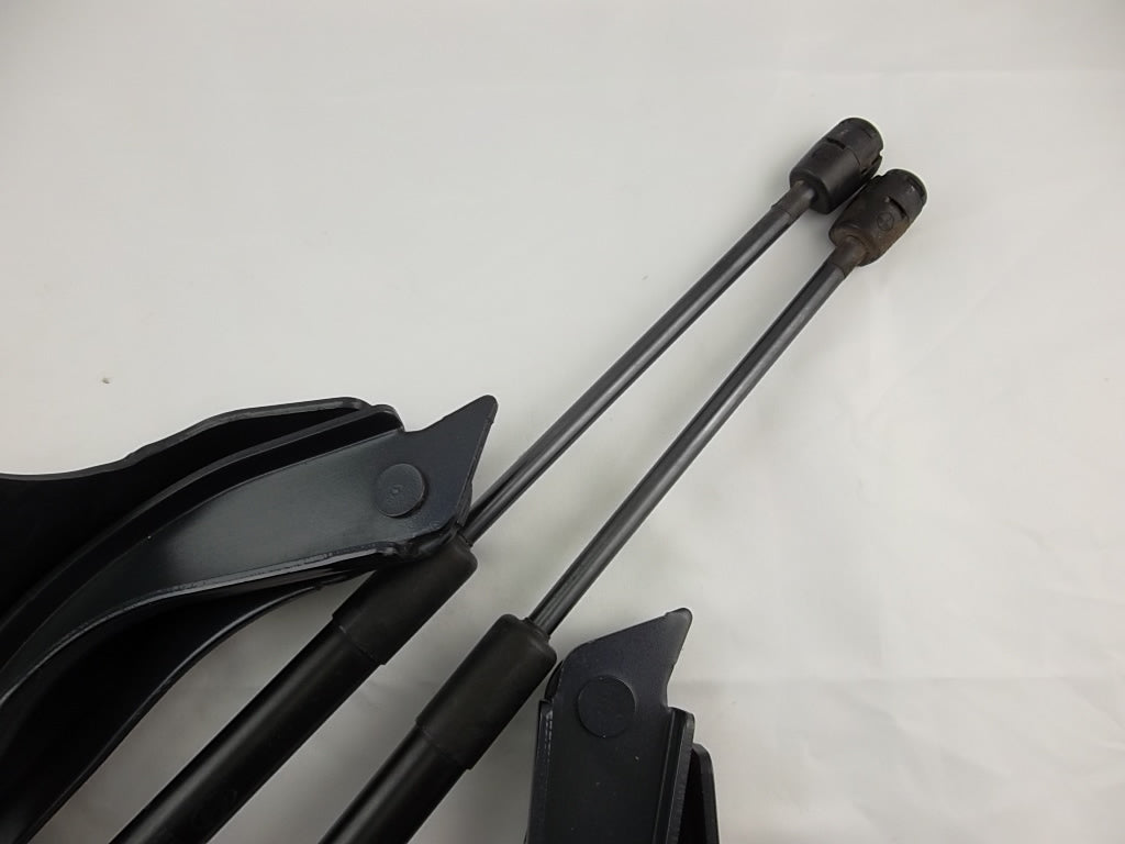 2013-2019 Hyundai Santa Fe Hood Hinge W/Shock Set 79120-4Z000