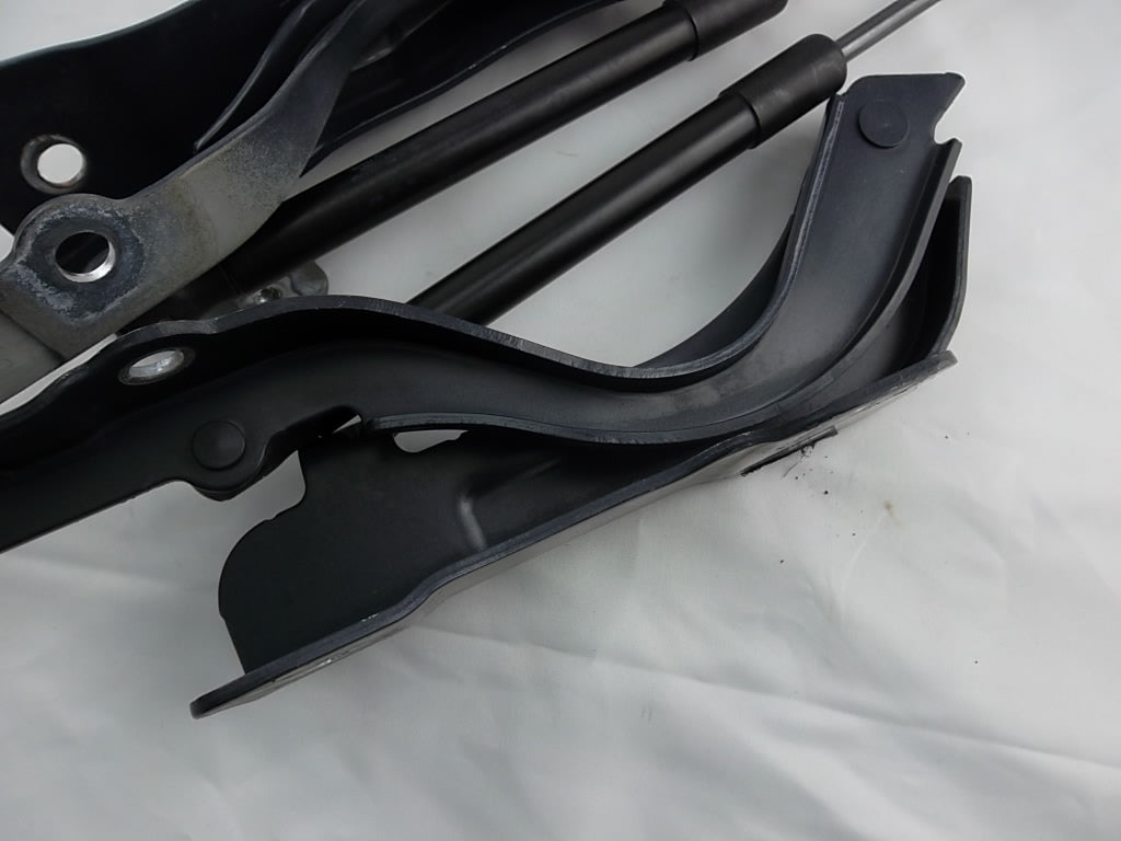 2013-2019 Hyundai Santa Fe Hood Hinge W/Shock Set 79120-4Z000