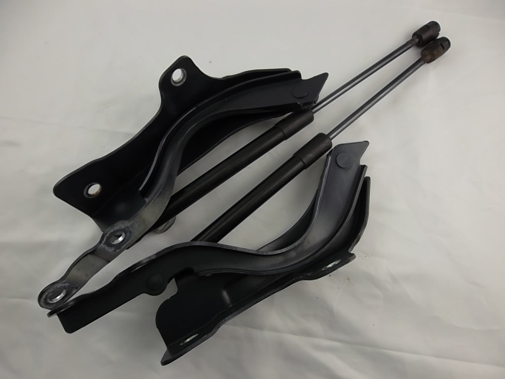 2013-2019 Hyundai Santa Fe Hood Hinge W/Shock Set 79120-4Z000